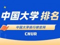 2023年中外合作办学大学排名